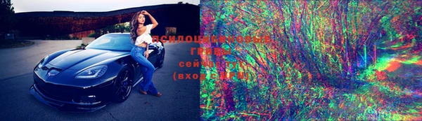 дживик Ладушкин