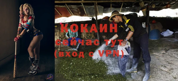 дживик Ладушкин