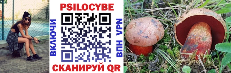 Купить  Богданович  Псилоцибиновые грибы прущие грибы 